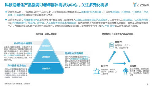2021中國(guó)科技適老化產(chǎn)品研究報(bào)告 機(jī)遇、挑戰(zhàn)與路徑探索